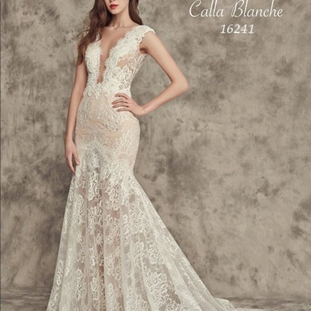 Calla Blanche #16241 Wedding Gown - Picture 1 of 2